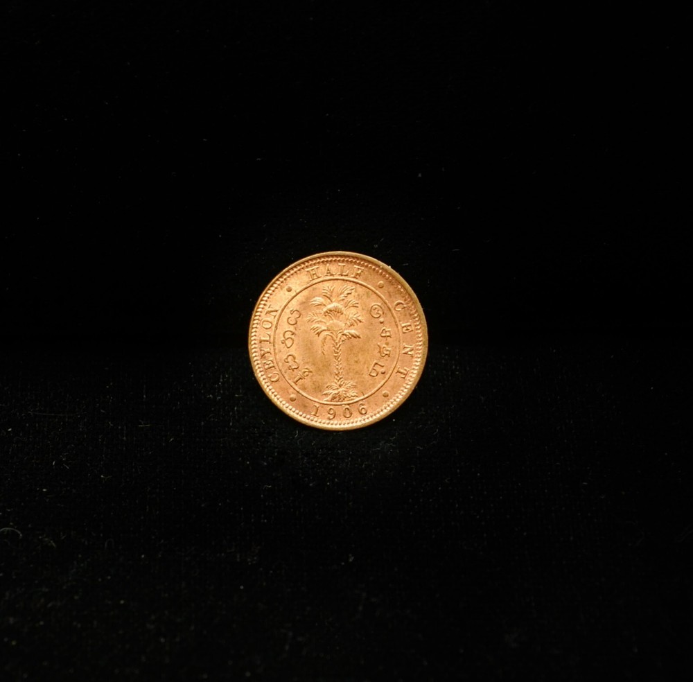 1906 Ceylon 1/2 Cent KM 101 #EB15146