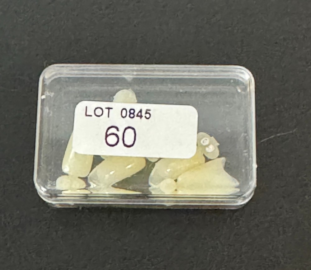 Dental Polycarbonate Temporary Crowns  5 pcs #60