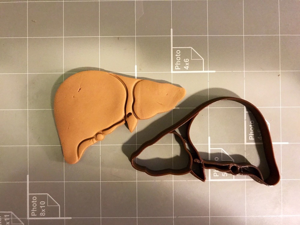 Liver Anatomy Cookie Cutter