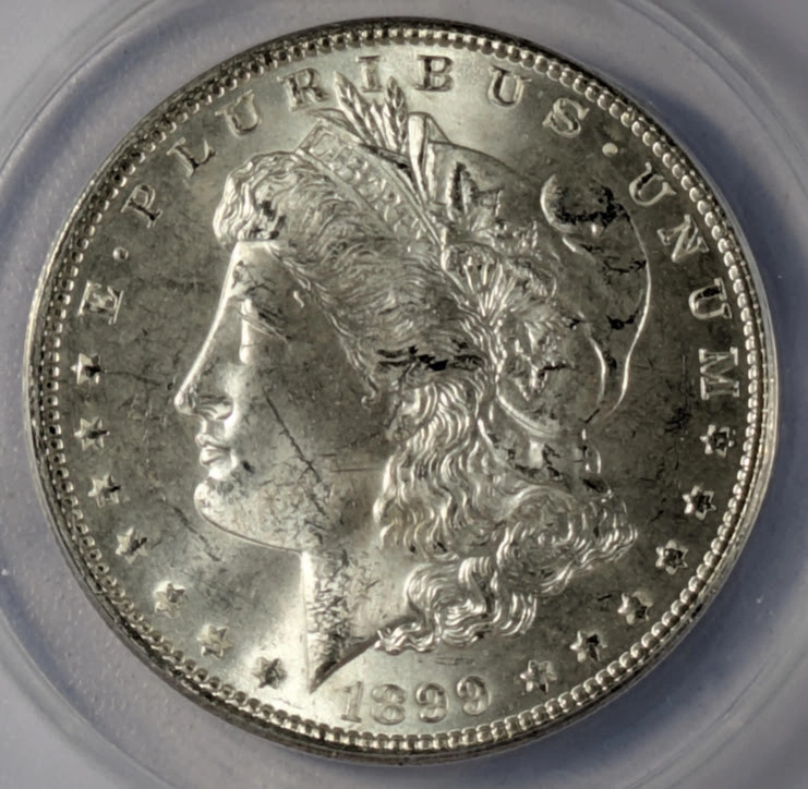 1899 Morgan Silver Dollar ANACS MS-62