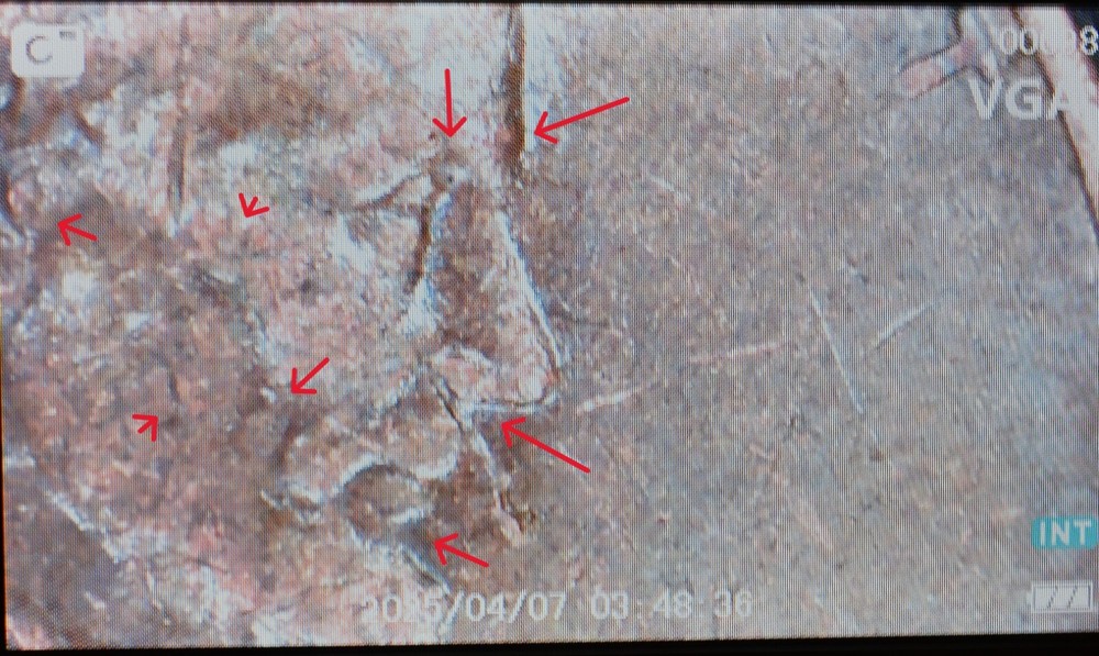 1976 D Lincoln Memorial Penny Rare Error