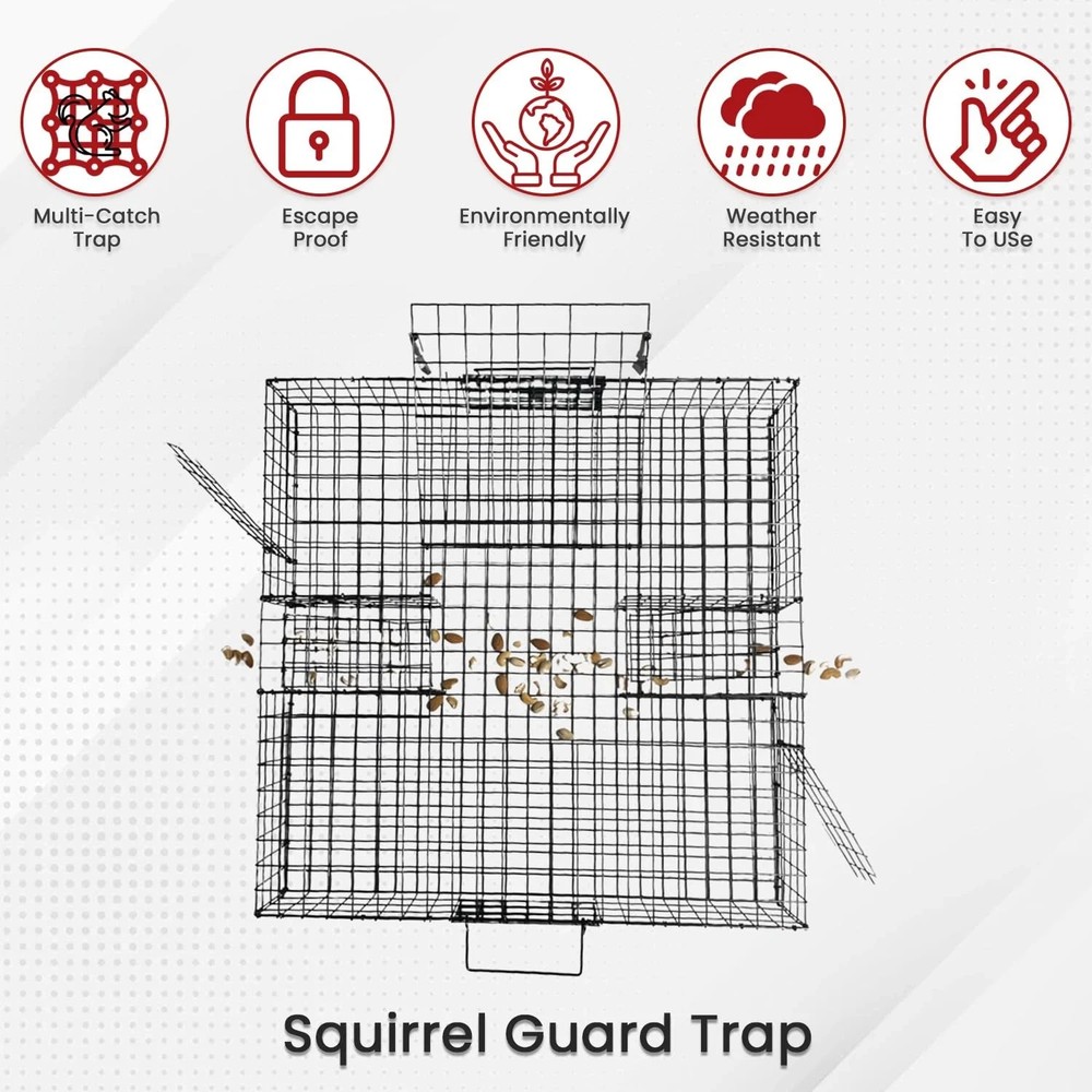 Predator Guard Squirrel Guard Trap - Humane Multi-Catch Trap, Attracts #1532SUP1