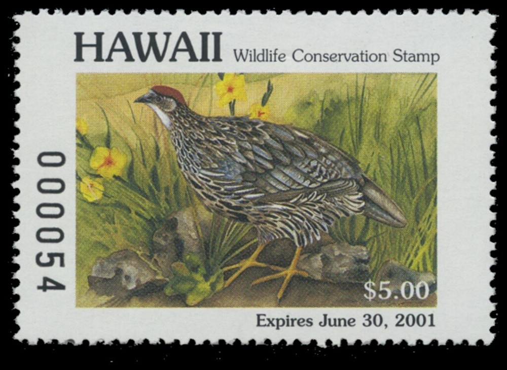 2000  Hawaii State Duck Stamp Mint Never Hinged. Original Gum