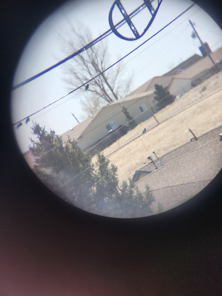 Leica Geosystems NA730 Automatic Optical Level with Case Used