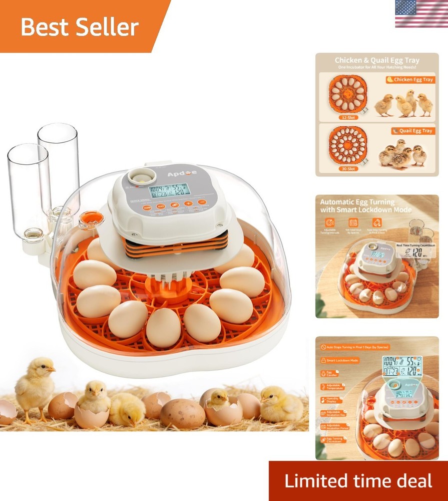 Elegant Egg Incubator with Automatic Turning & Temperature Control for 12 Eggs