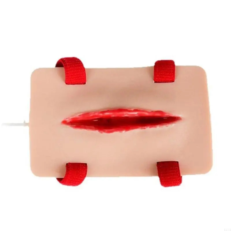 1 Set Educational Wound Packing Trainer Model Arresting Bleeding Practice Model