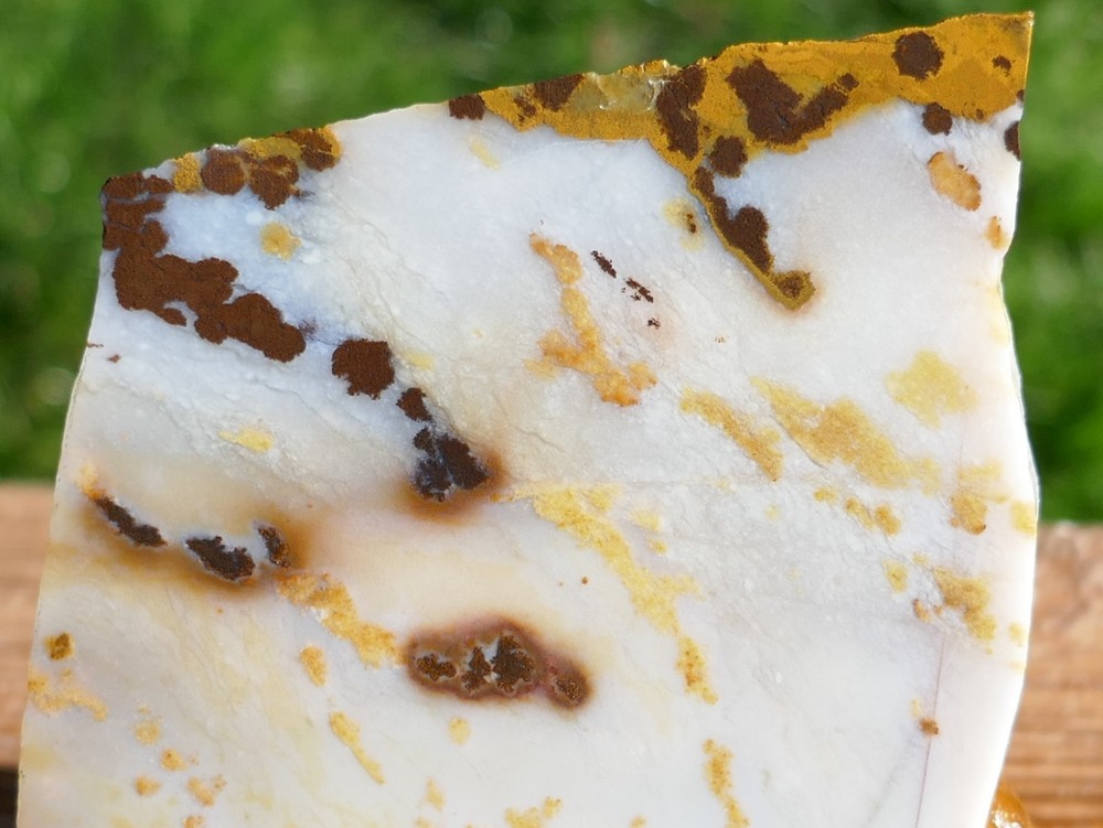 TCR Polka Dot Agate Treasure *Rough Slab 122grams – Dendritic patterns | Oregon
