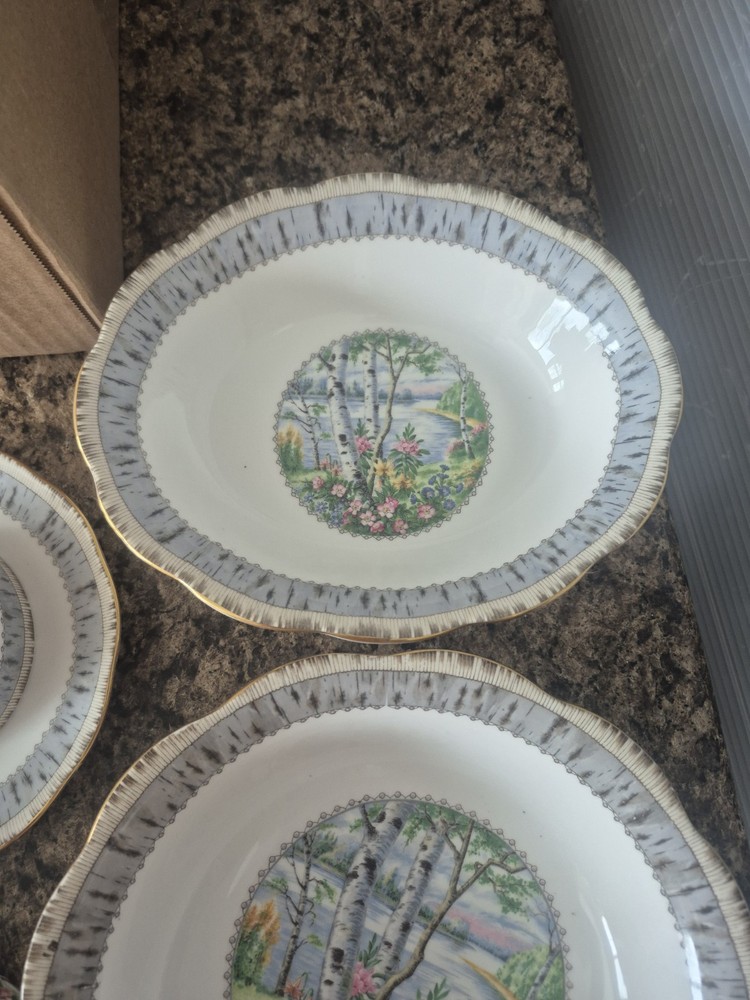 27 piece Dinner Set 4X Royal Albert Silver Birch premium Place Settings +serving