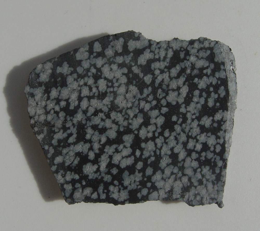 Snowflake Obsidian Lapidary Slab T1355