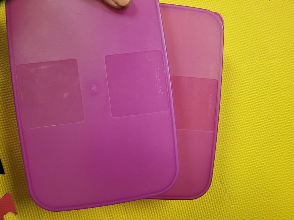 Tupperware Freezer Mates Medium Container 1.5L AND 6c cups **2 Containers**