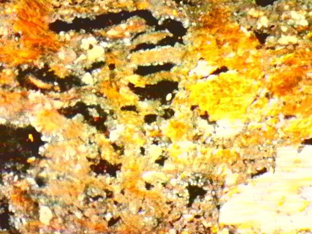 Gold Ore Specimen / Visible Gold