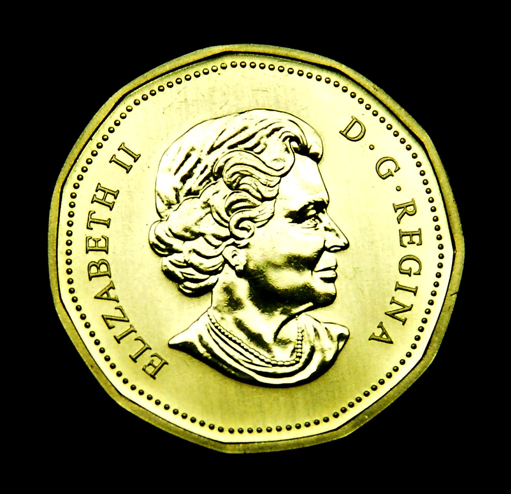 2004 Canada Flying Lesser Goose Specimen Loonie uncirculated