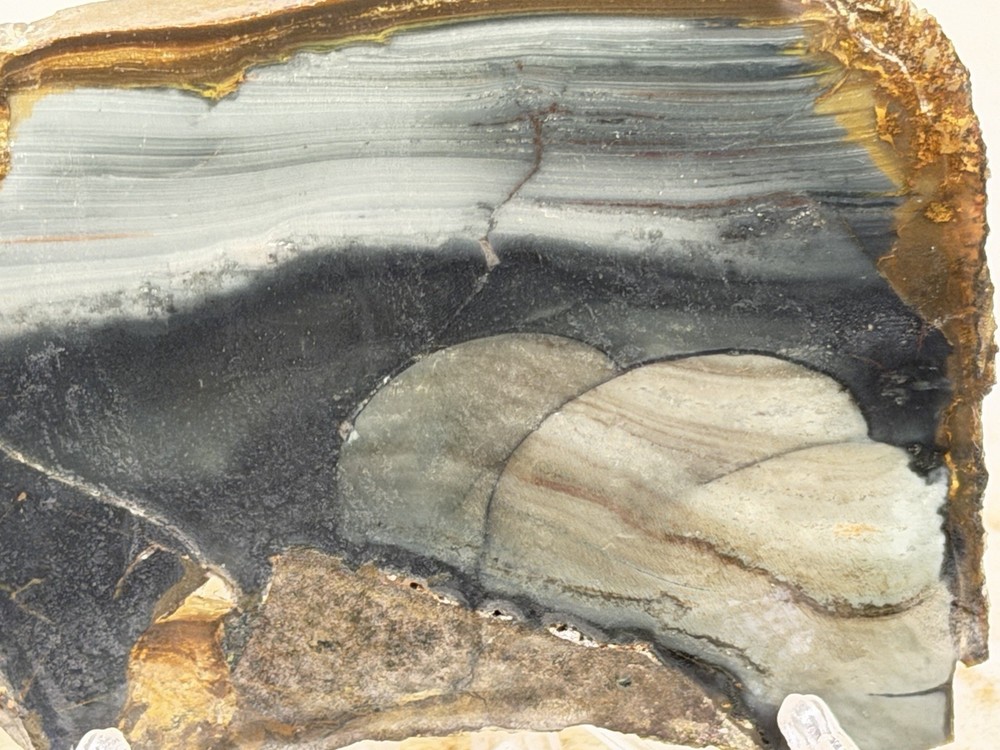 Blue Mountain Jasper Slab, Lot#28