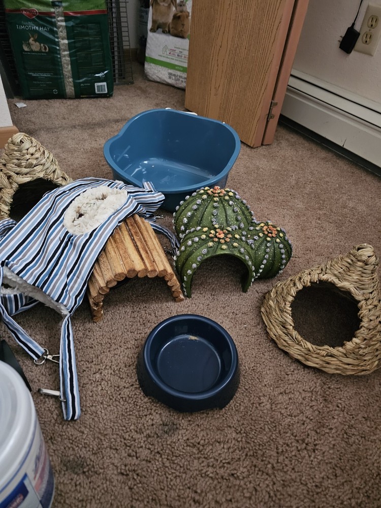 Animal Cage