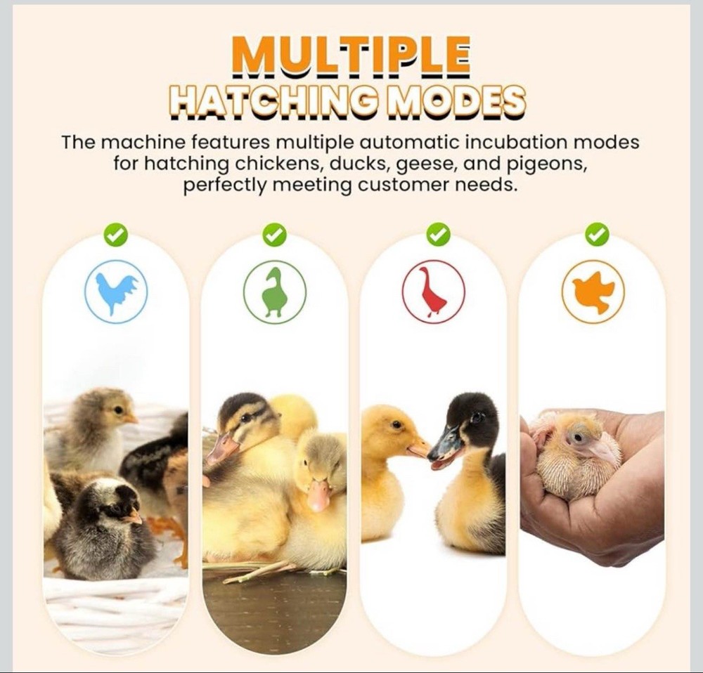 Incubators for Hatching Eggs, 24 Egg Incubator, Automatic Turning