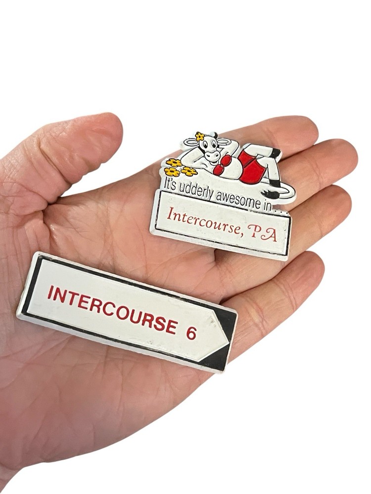 Intercourse Pennsylvania It’s Utterly Awesome Cow Rubber Fridge Magnet