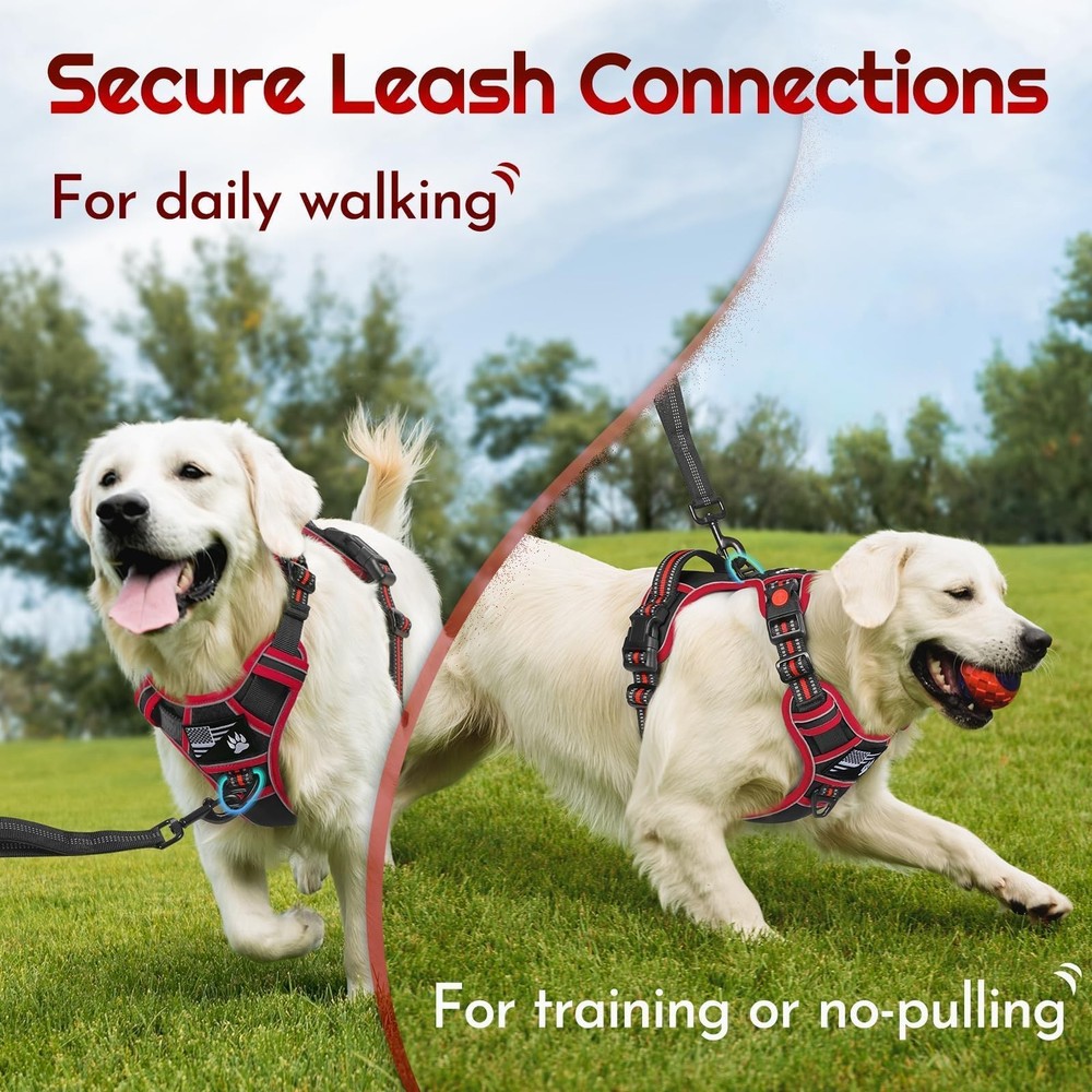 Dog Harness Small Sized, Easy Wearing with 3 Buckles, Adjustable No Pull Pet ...