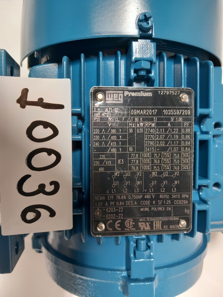 WEG Motor 12797527