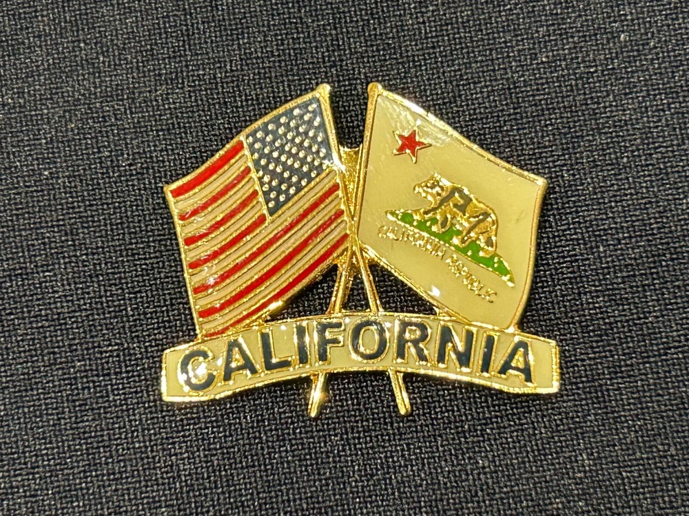 California State Flag Enamel Hat / Lapel Pin ~ fd