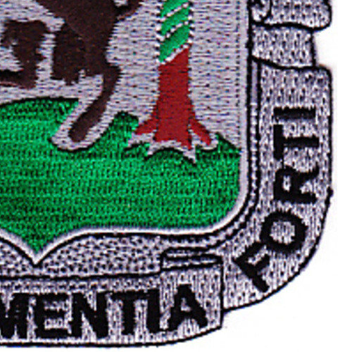 61st Medical Battalion Patch