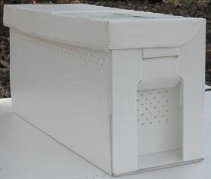 bee nucs