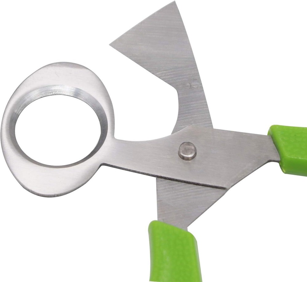 2Pcs Quail Egg Roast egg scissors Cutter Scissors Kitchen Egg Shears Tool(Green)