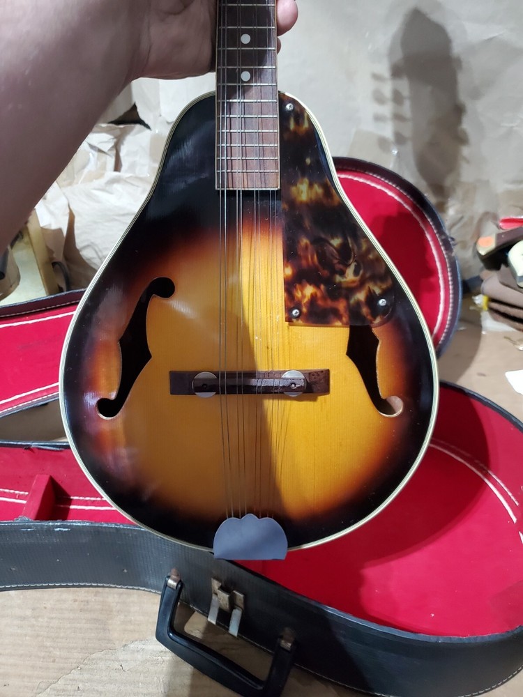 Unbranded? Mandolin - pre-owned