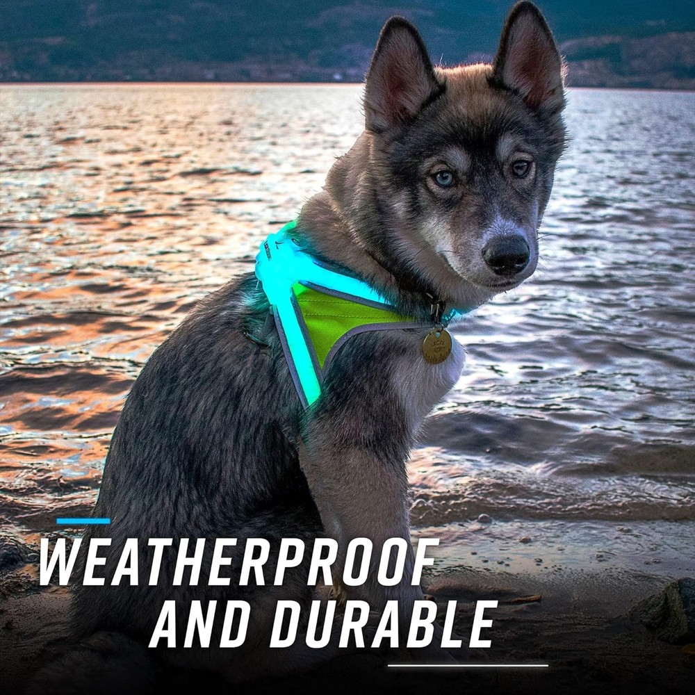 LED Dog Harness Reflective USB Rechargeable Adjustable Rainproof Large