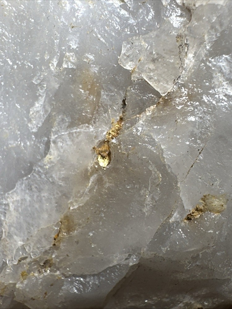 Australian Gold Specimens Visible Gold.