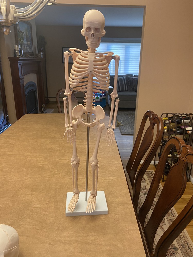 nursing equipment