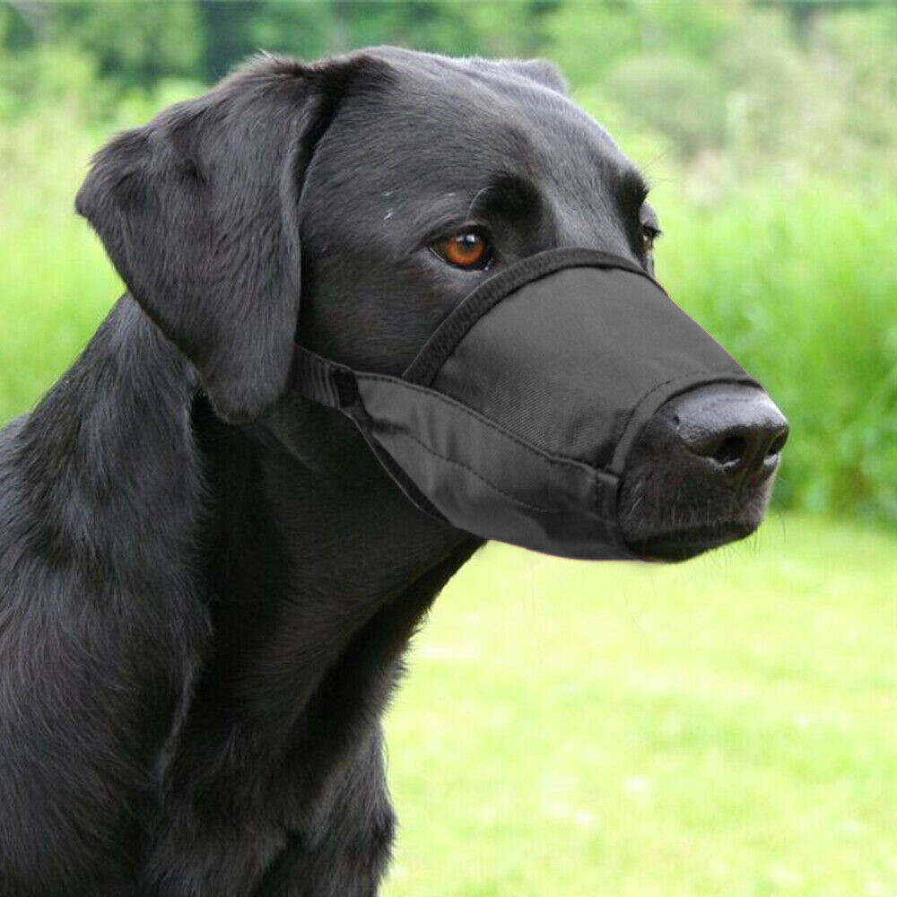 Dog Muzzle Soft Sided Adjustable Training No Bite Chew For Smaller Dogs S M L