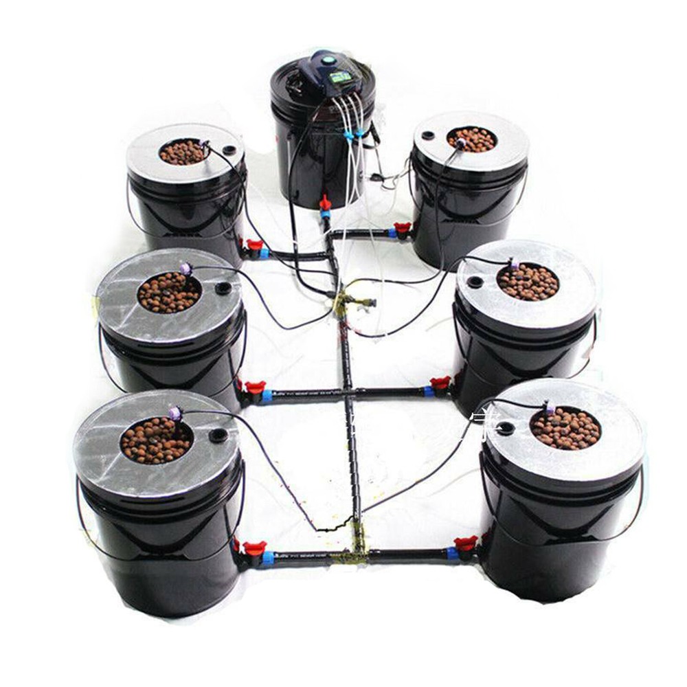 DWC 5 Gallons 6 Buckets Hydroponics Growing System Recirculating Growing Kit US