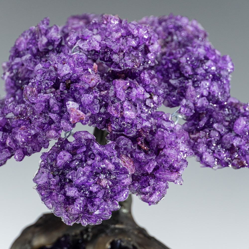 Medium - Amethyst Clustered Gemstone Tree on Amethyst Matrix