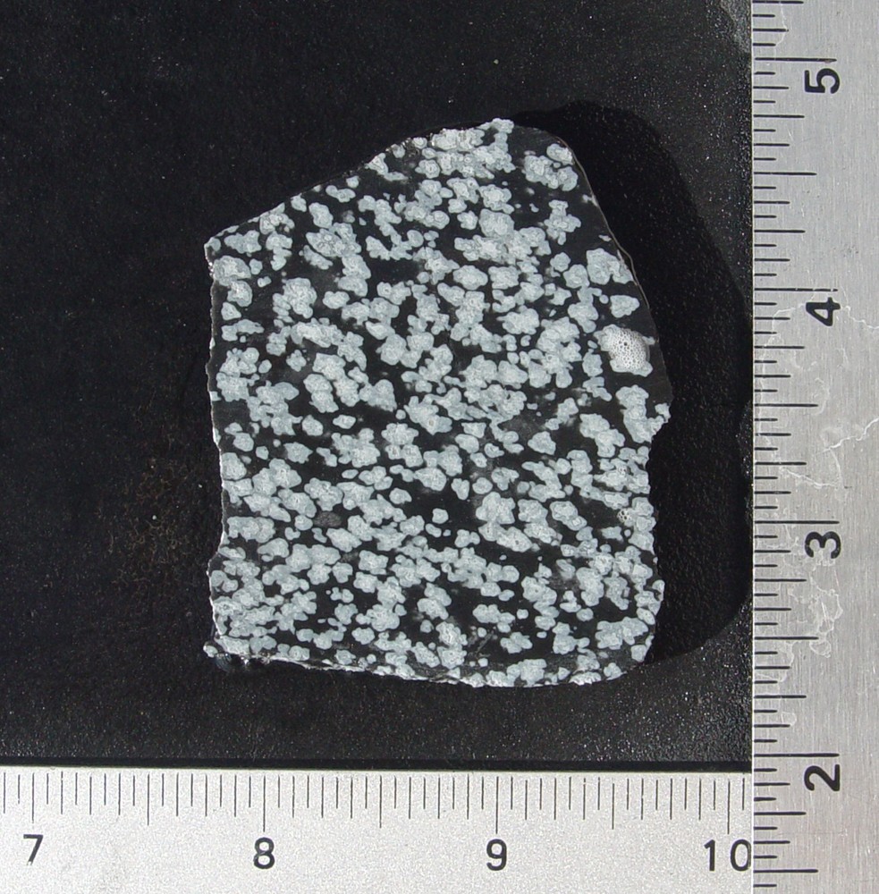 Snowflake Obsidian Lapidary Slab T1355