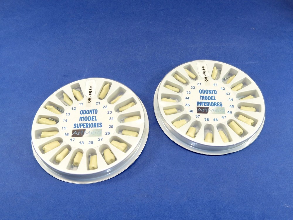 Typodont FG3 Dental Universal Plate Training Replacement Teeth Upper Lower Kit