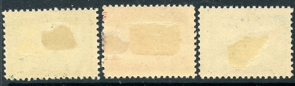 1920 PILGRIMS MINT, OG #548-50