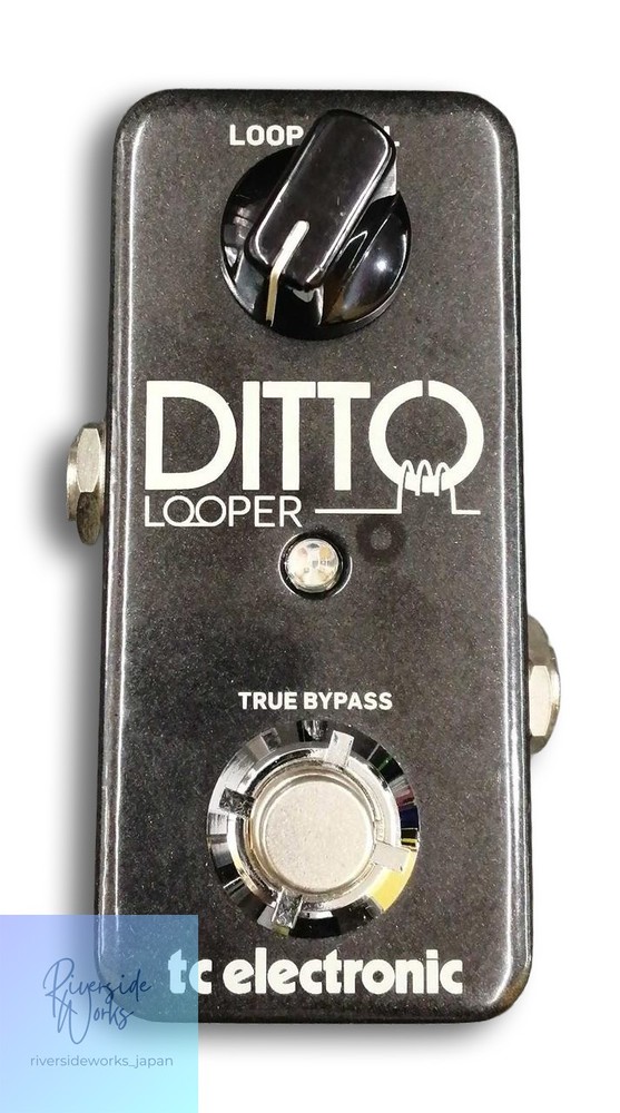 TC ELECTRONIC Ditto Looper Effects Pedal for Musicians