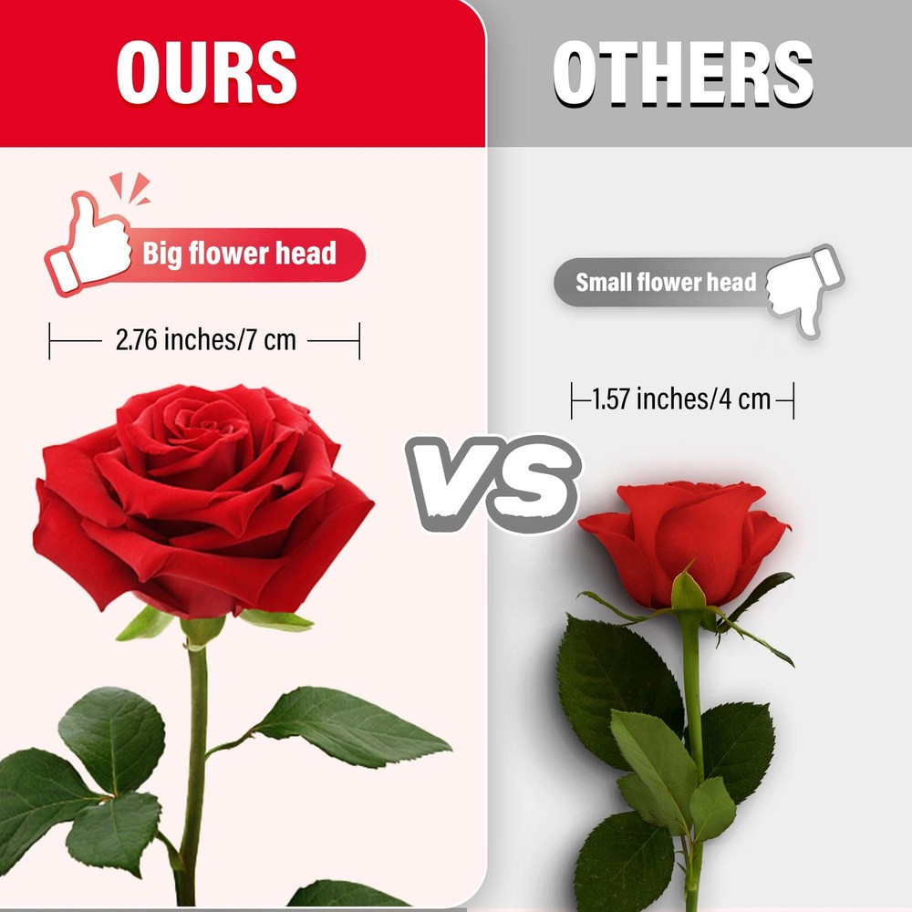 Pyopbow 20PCS Artificial Roses with Long Stems - Realistic Silk 20 PCS, Red