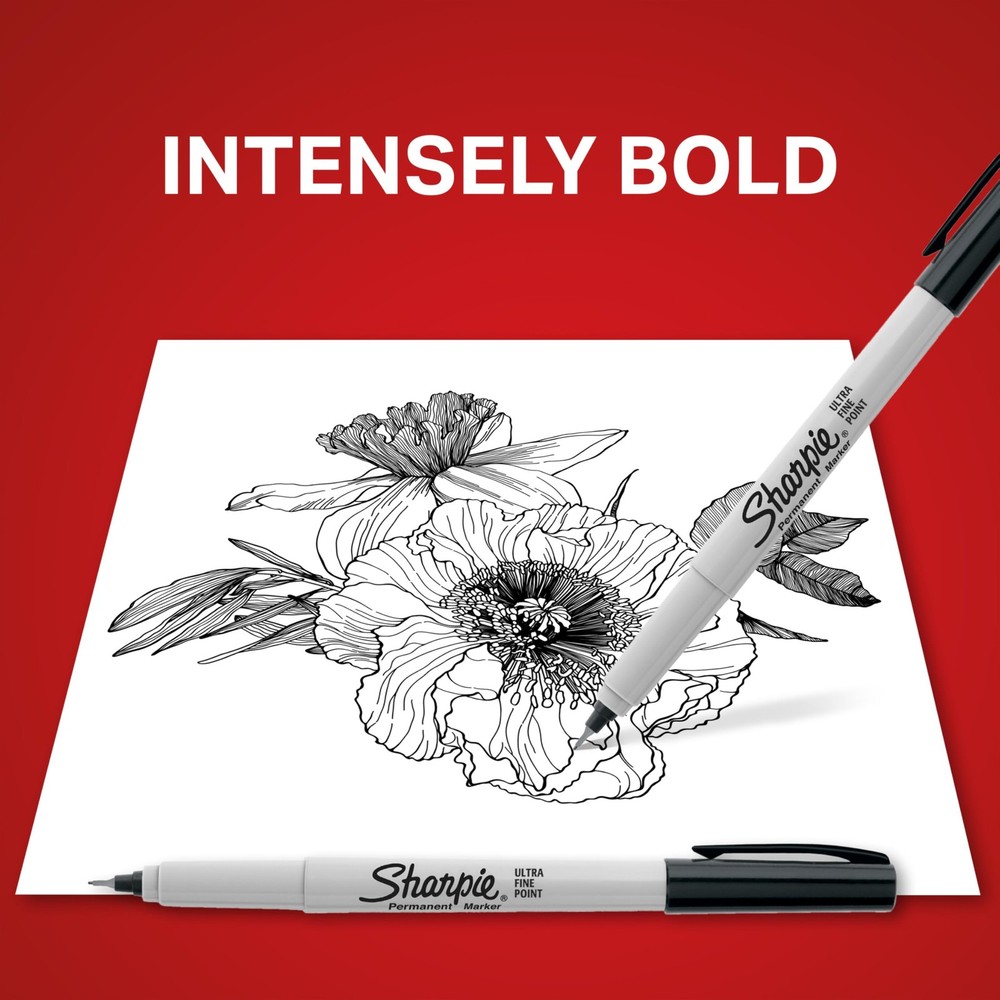 37161PP Permanent Markers Ultra Fine Point Black 2 Count