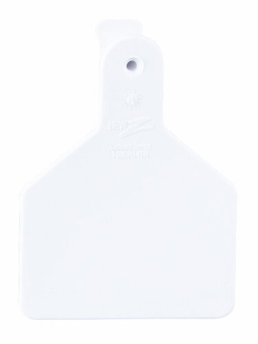 Z Tag Calf Blank White 100ct