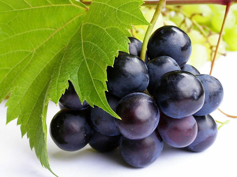 grape skin capsules - GRAPE SEED EXTRACT 100mg - polyphenols 3B