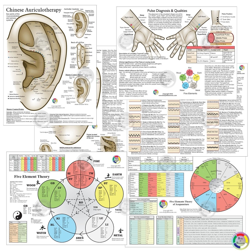 3 Acupuncture Student Chart Set Auriculotherapy Five Elements & Pulse Diagnosis