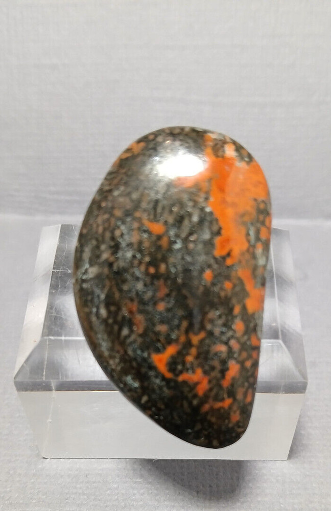 Dinosaur Bone Cabochon - With Large Red Agate Cells