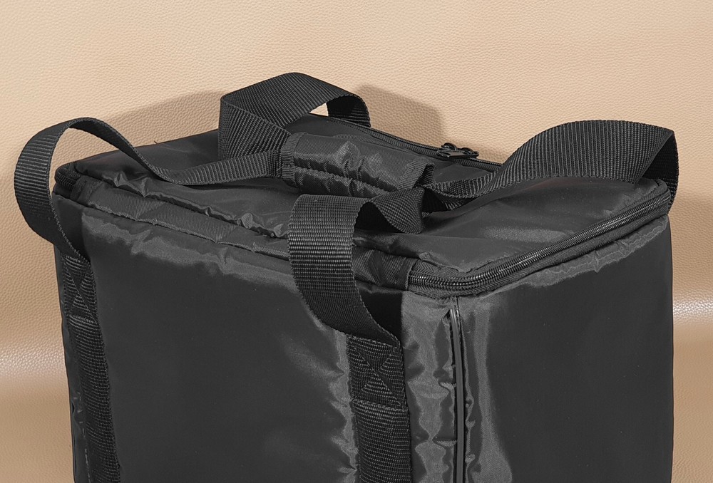 Custom padded BAG for Positive Grid Spark cabinet