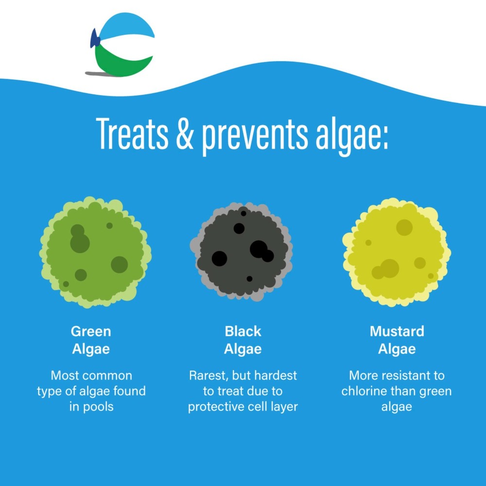 Poolife Algaecide 90 (1 qt) (3 Pack)