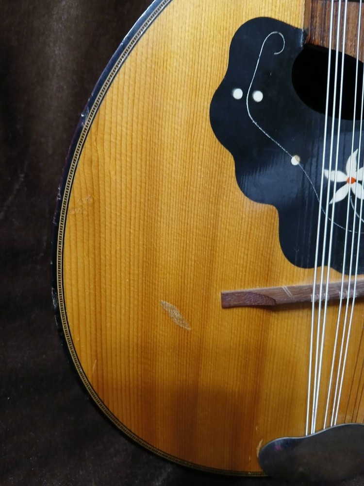 VINTAGE NICE SOUNDING 12 STRING TEARDROP MANDOLIN**SEE VDO**