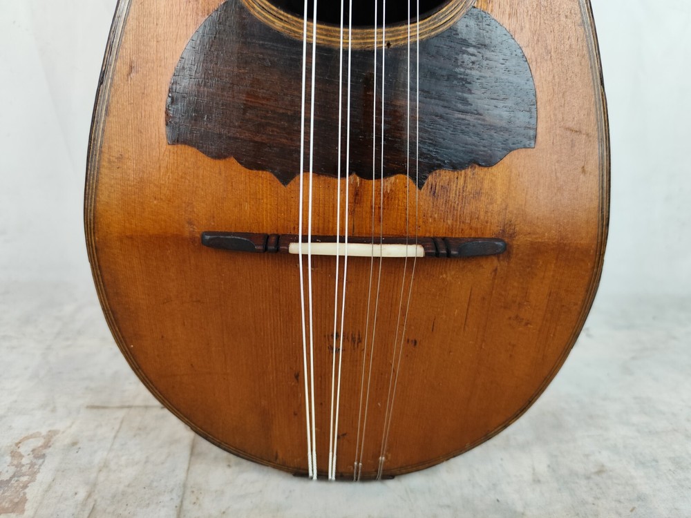 Mandolin 4/4 Luigi Ricci e Son 1885 Naples 曼陀林 만돌린マンドリン