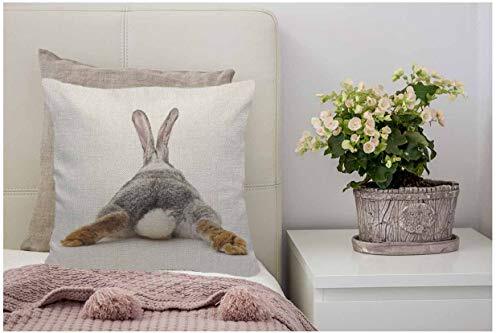 WONDERTIFY Throw Pillow Case Cover Grey Rabbit Isolated on A White Multi 93