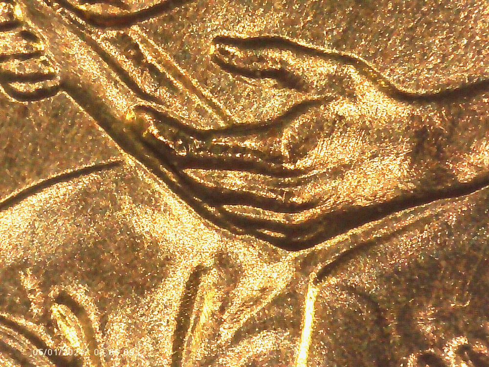 2009 P BU FY DOUBLED DIE REVERSE ERROR WDDR-008