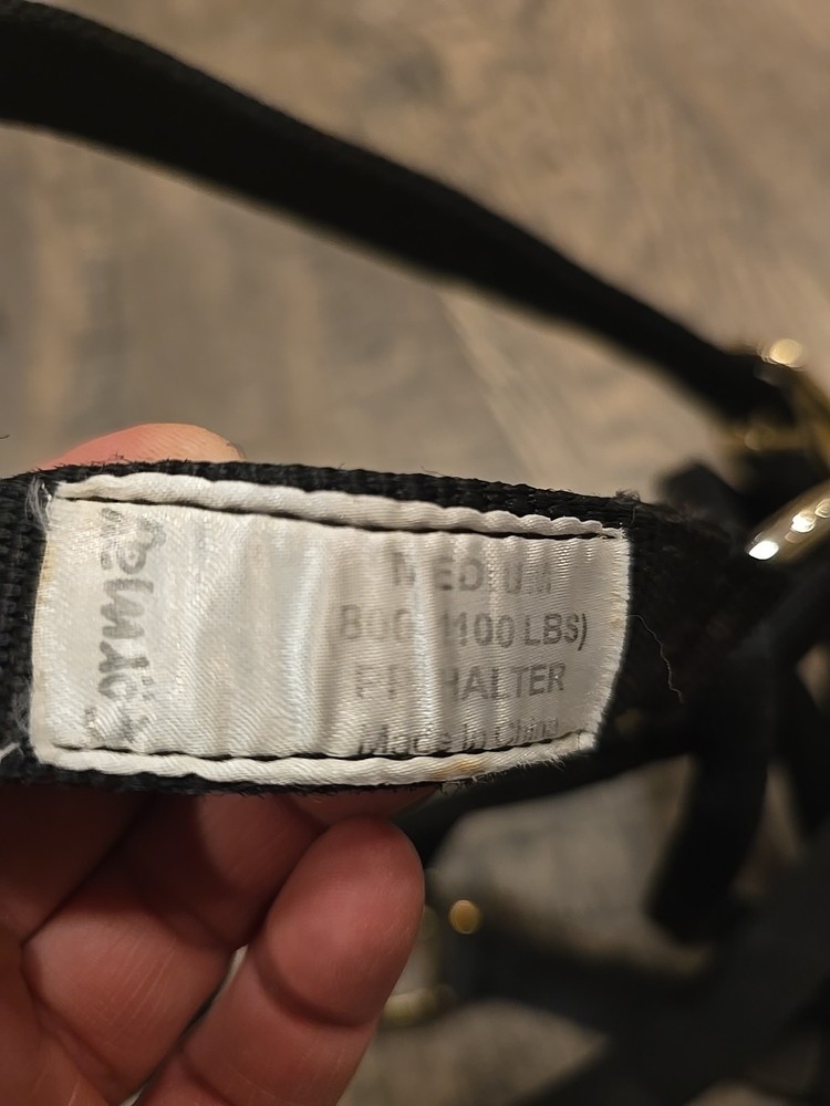 Horse Halter